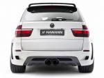 BMW Flash EVO M by Hamann 2010 года